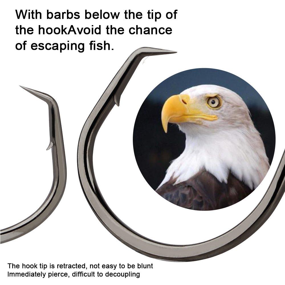 FTK Angelhaken Angeln Octopus  – Fishing Hook Circle Bewertung und Preis